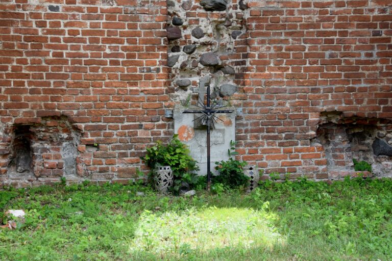 Ruiny Pałacu Opalińskich w Radlinie, Cielcza, województwo wielkopolskie - relacja z 07.2023, zdjęcie 11