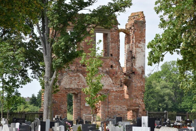 Ruiny Pałacu Opalińskich w Radlinie, Cielcza, województwo wielkopolskie - relacja z 07.2023, zdjęcie 12