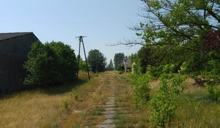 Stara Opuszczona Owczarnia w Woli Skorzęckiej, Wola Skorzęcka, województwo wielkopolskie - zdjęcie 6