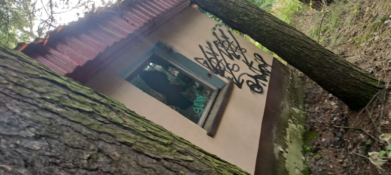 Camping nr.26 w Antoninie., Antonin, województwo wielkopolskie - relacja z 08.2023, zdjęcie 8