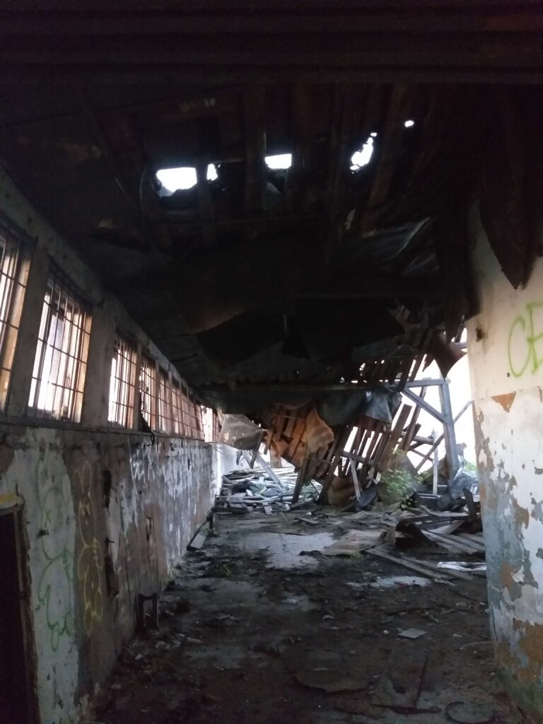 Opuszczone hale, Radom, województwo mazowieckie - relacja z 08.2023, zdjęcie 1