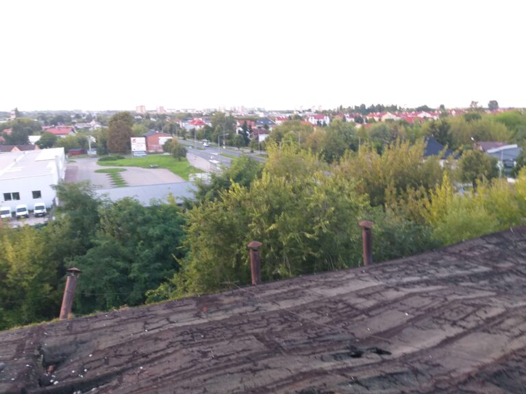 Opuszczone hale, Radom, województwo mazowieckie - relacja z 08.2023, zdjęcie 5