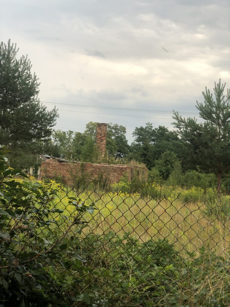 opuszczony dom, Runów, województwo mazowieckie - zdjęcie 1