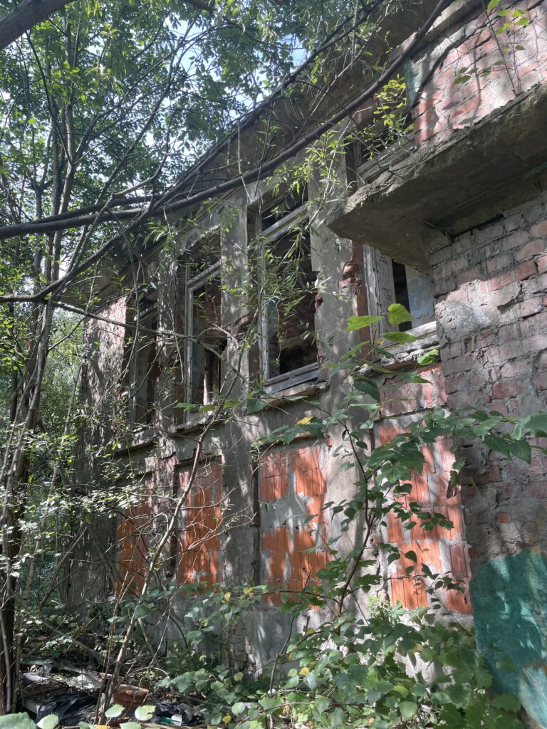 Opuszczony żłobek Gliwice, Gliwice, województwo śląskie - relacja z 08.2023, zdjęcie 21