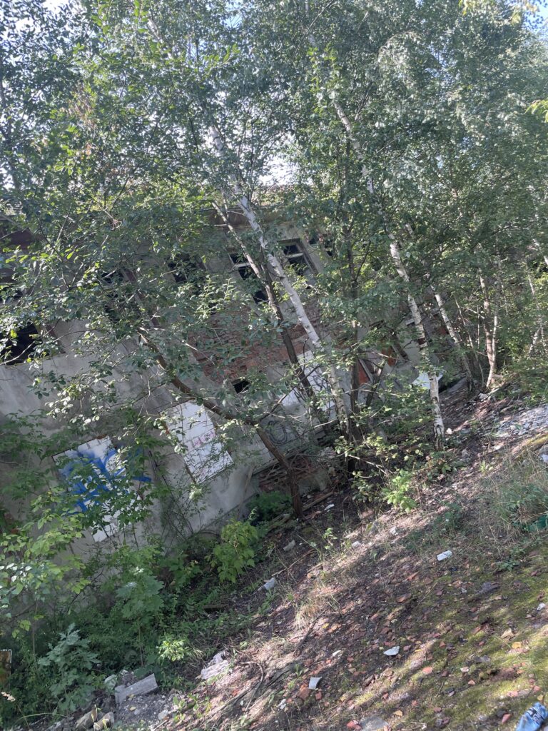 Opuszczony żłobek Gliwice, Gliwice, województwo śląskie - relacja z 08.2023, zdjęcie 22