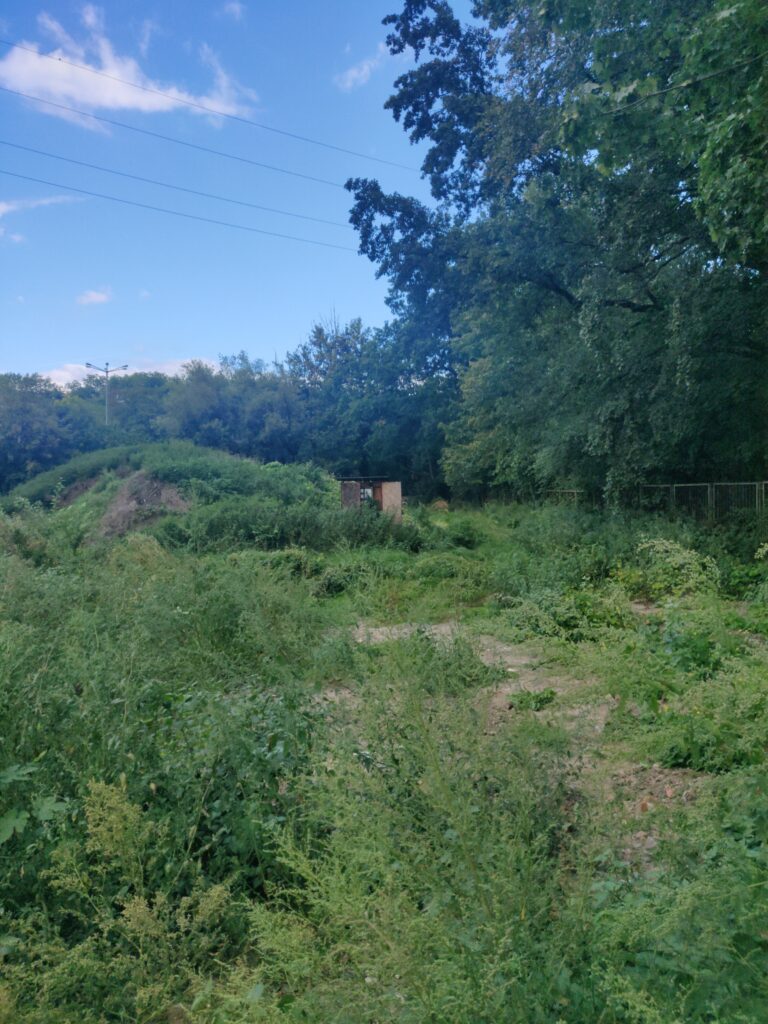 Instytut genetyki roślin, Poznań, województwo wielkopolskie - relacja z 09.2023, zdjęcie 51