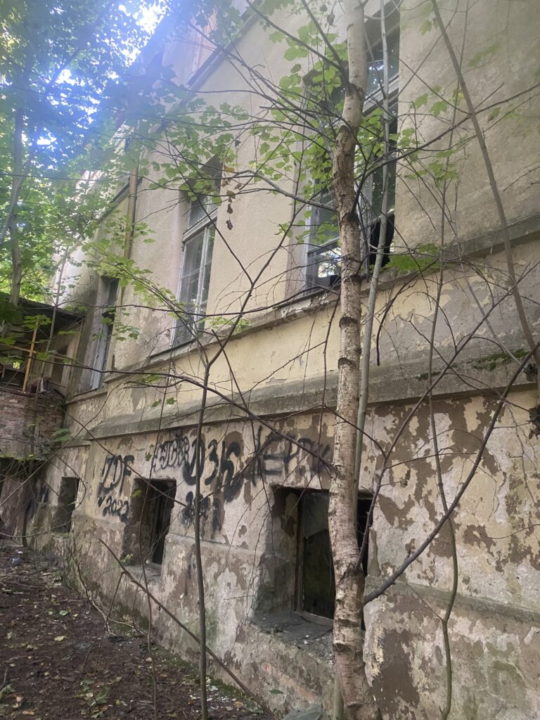 Pałac w lasku, Wierzchucinek, województwo kujawsko-pomorskie - relacja z 09.2023, zdjęcie 17