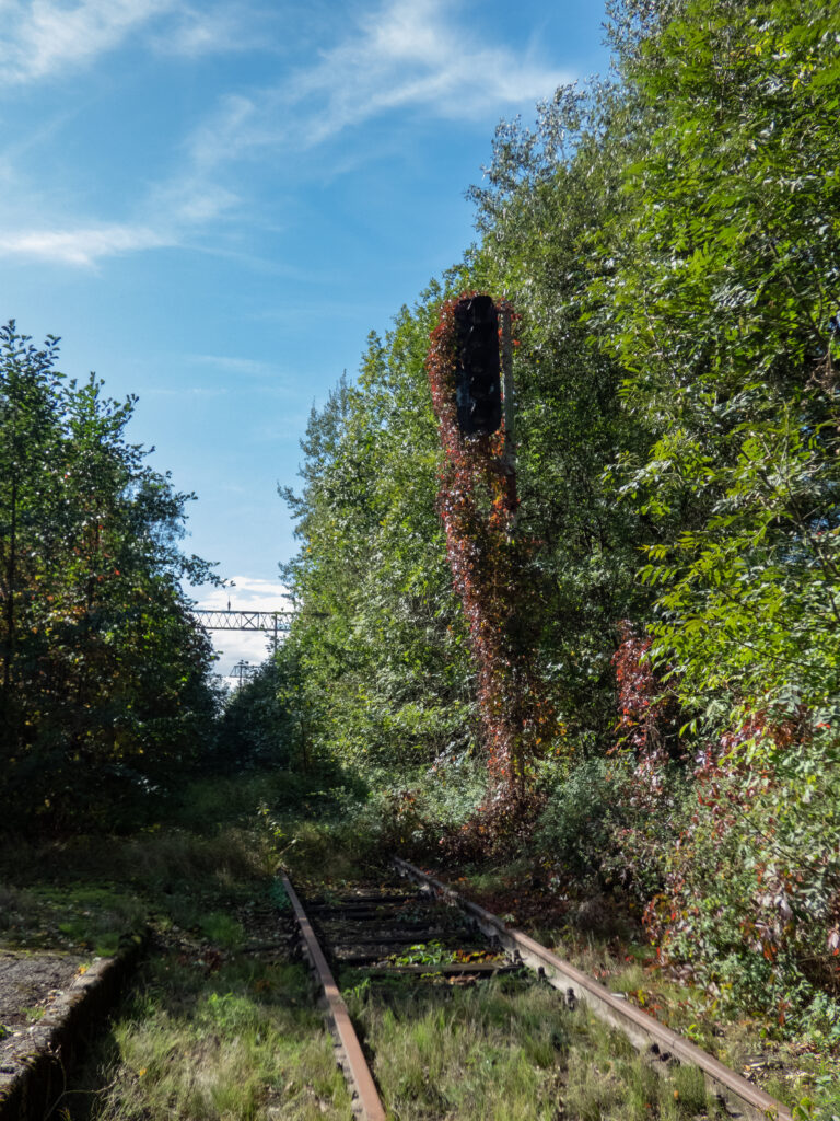 Zapomniany Dworzec, Pogórze, województwo śląskie - zdjęcie 2