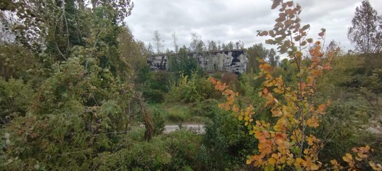 Fabryka żelatyny, Annopol, województwo lubelskie - relacja z 10.2023, zdjęcie 8