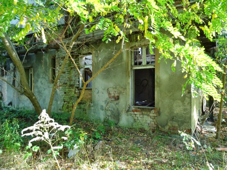 Dwór Świętoszowice, Świętoszowice, województwo śląskie - zdjęcie 2