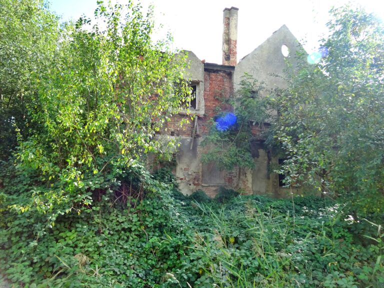 Dwór Świętoszowice, Świętoszowice, województwo śląskie - zdjęcie 3
