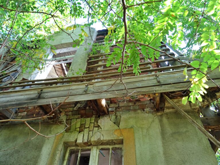 Dwór Świętoszowice, Świętoszowice, województwo śląskie - zdjęcie 6