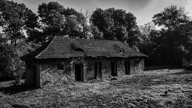 Dawny folwark, Myszków, województwo śląskie - relacja z 10.2023, zdjęcie 9