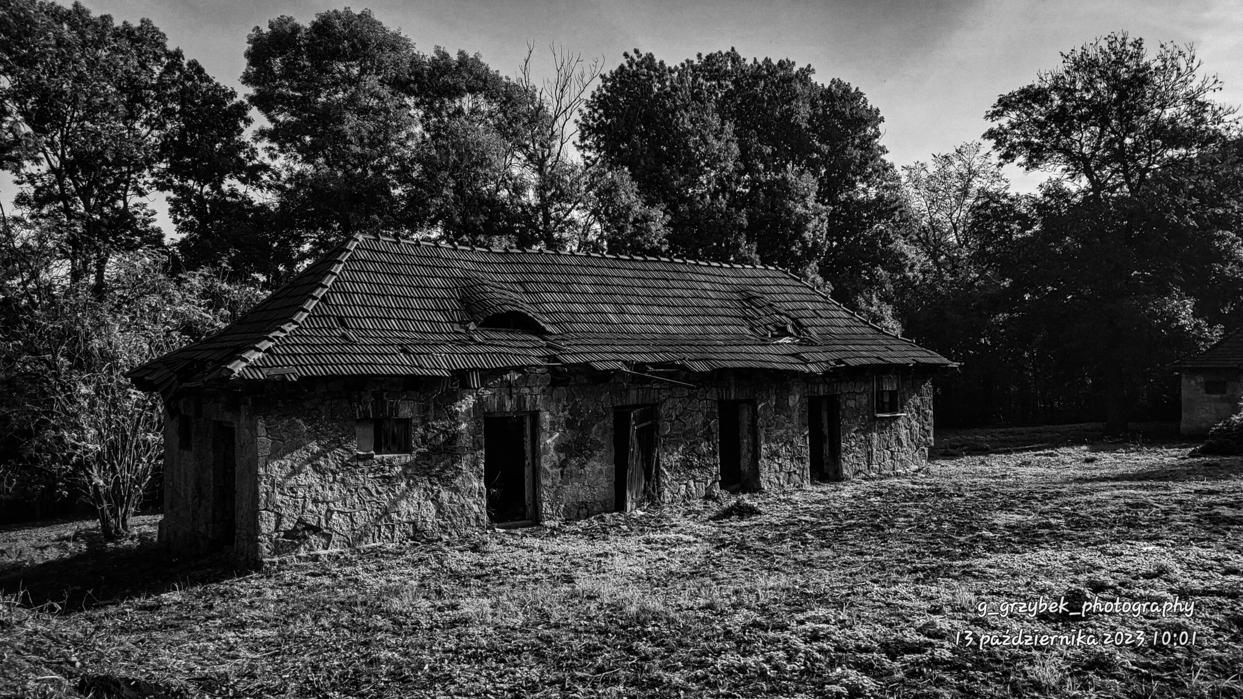 Dawny folwark, Myszków, śląskie — zdjęcie 5