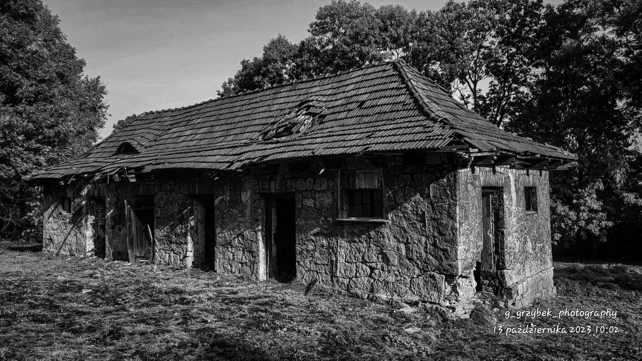 Dawny folwark, Myszków, śląskie — zdjęcie 6