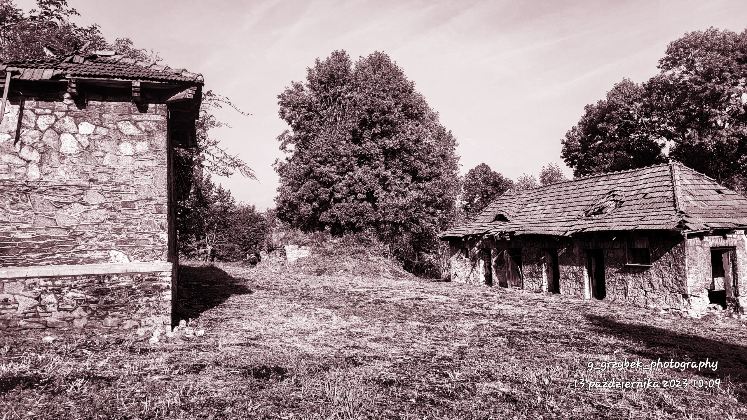 Dawny folwark, Myszków, śląskie — zdjęcie 7