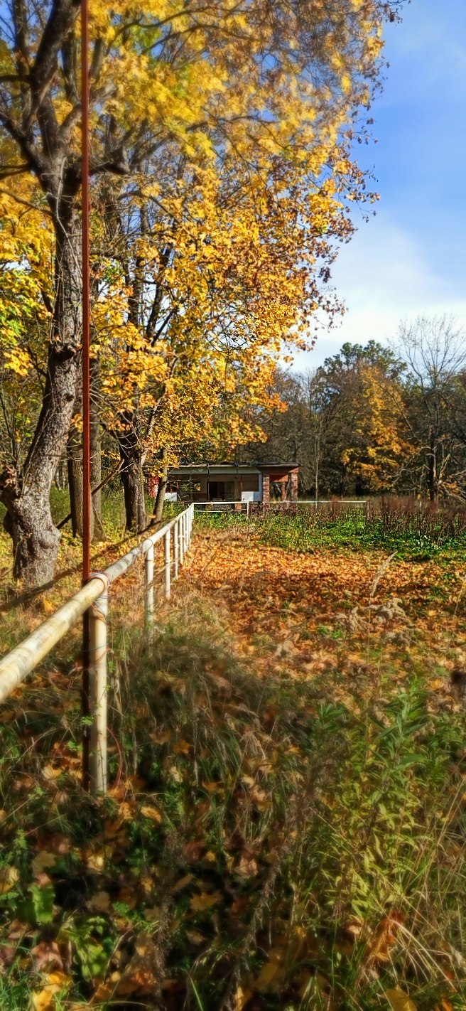 Pałac Skrzyńskich – Zagórzany, Gorlice, województwo małopolskie - relacja z 10.2023, zdjęcie 5