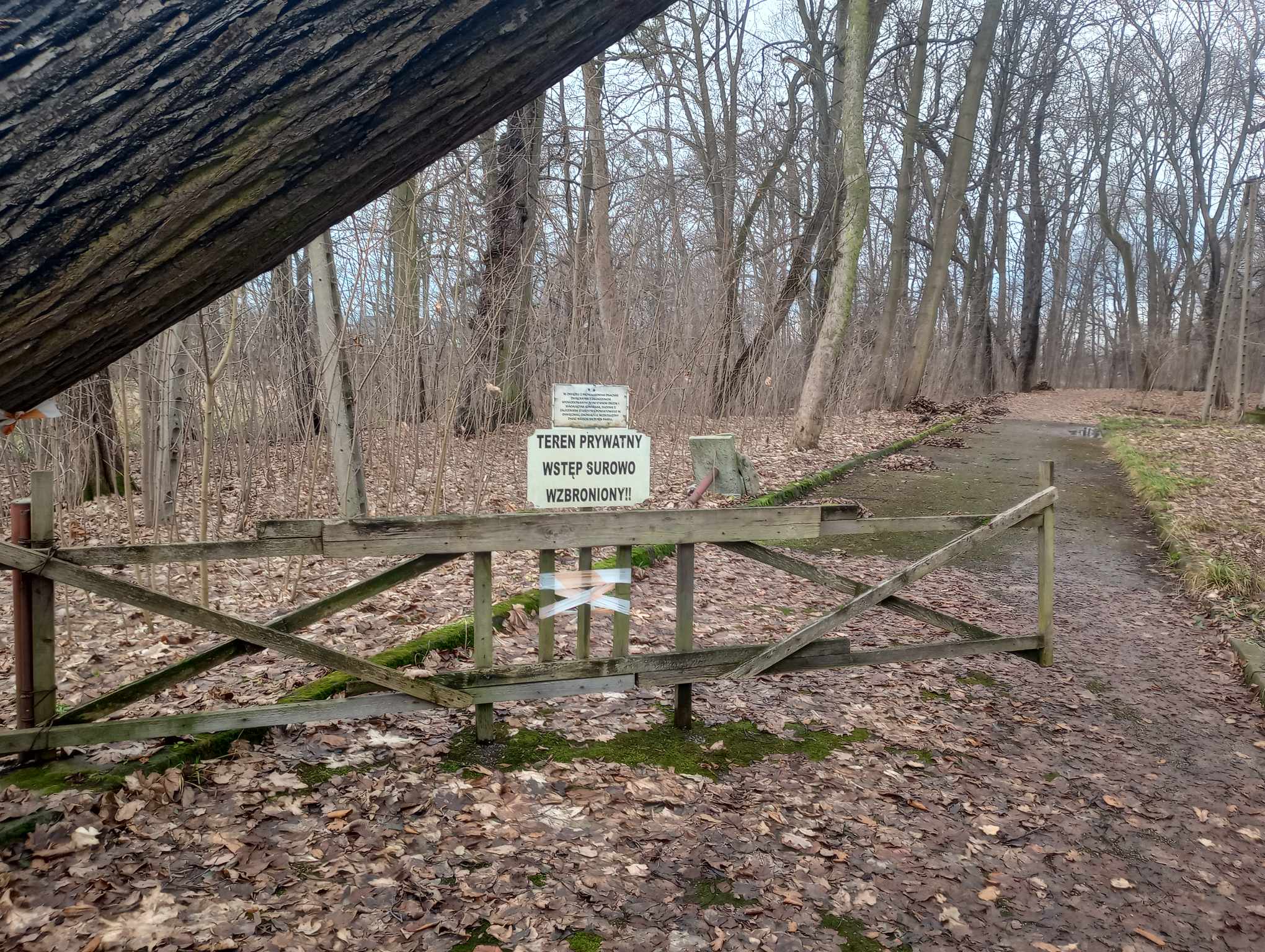 Pałac Sapiehów w Bobrku, Bobrek, małopolskie — zdjęcie 1