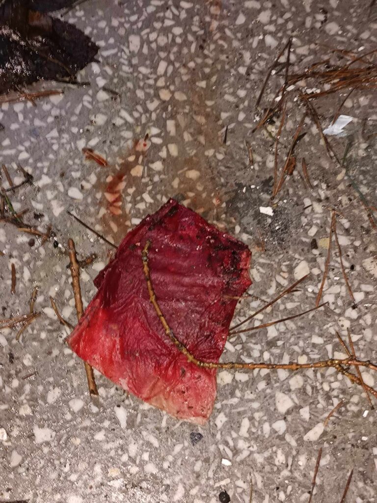 Okrąglaki, Miałkówek, województwo mazowieckie - relacja z 01.2024, zdjęcie 80