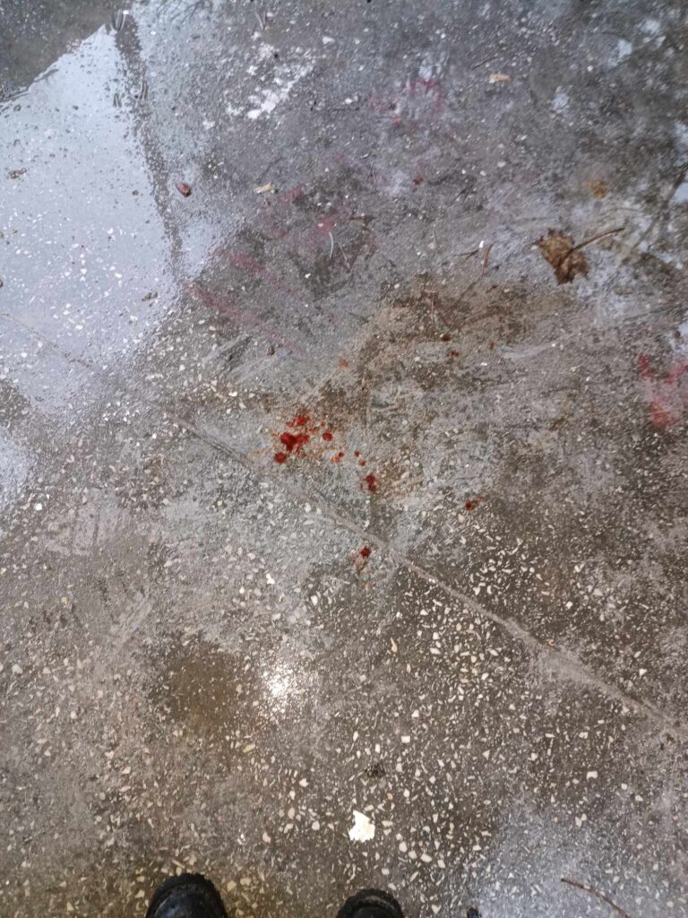 Okrąglaki, Miałkówek, województwo mazowieckie - relacja z 01.2024, zdjęcie 81