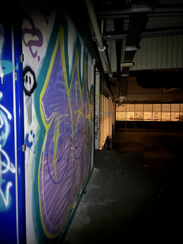 Opuszczony Praktiker, Rybnik, województwo śląskie - relacja z 01.2024, zdjęcie 3