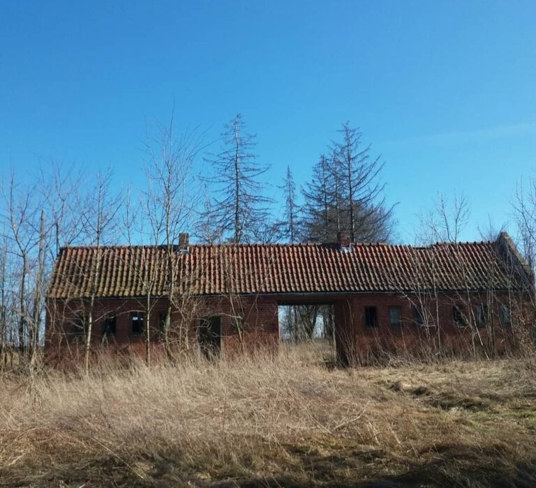 Szkoła podstawowa, Bukowiec, województwo kujawsko-pomorskie - relacja z 03.2022, zdjęcie 53