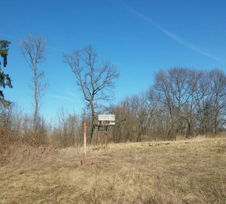 Szkoła podstawowa, Bukowiec, województwo kujawsko-pomorskie - relacja z 03.2022, zdjęcie 54