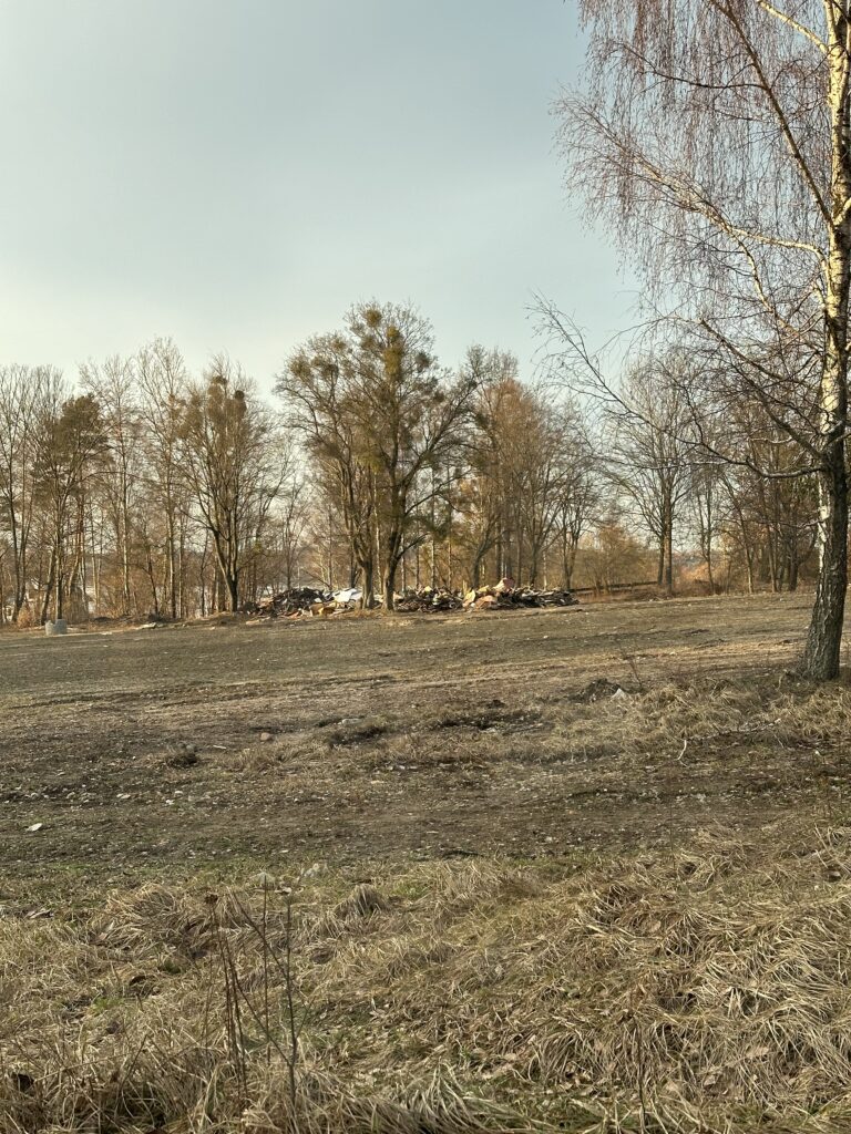 Rezerwat smaków Leśne Wrota, Wojtkowizna, województwo warmińsko-mazurskie - relacja z 02.2024, zdjęcie 9