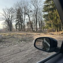 Rezerwat smaków Leśne Wrota Wojtkowizna