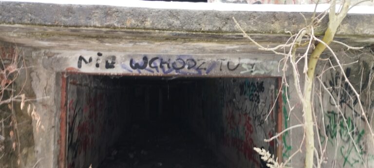Opuszczony budynek rolniczy, Wielopole, województwo małopolskie - zdjęcie 3