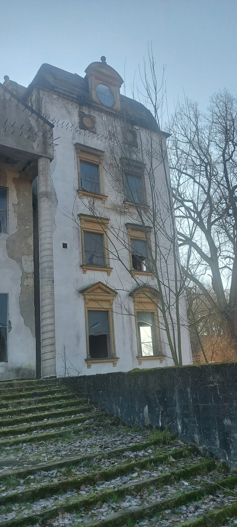 Pałac w Notyście Wielkim, Notyst Wielki, województwo warmińsko-mazurskie - relacja z 03.2024, zdjęcie 12