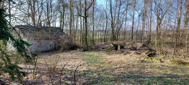 Dom człowieka Świni, Podsusze, województwo mazowieckie - relacja z 03.2024, zdjęcie 1