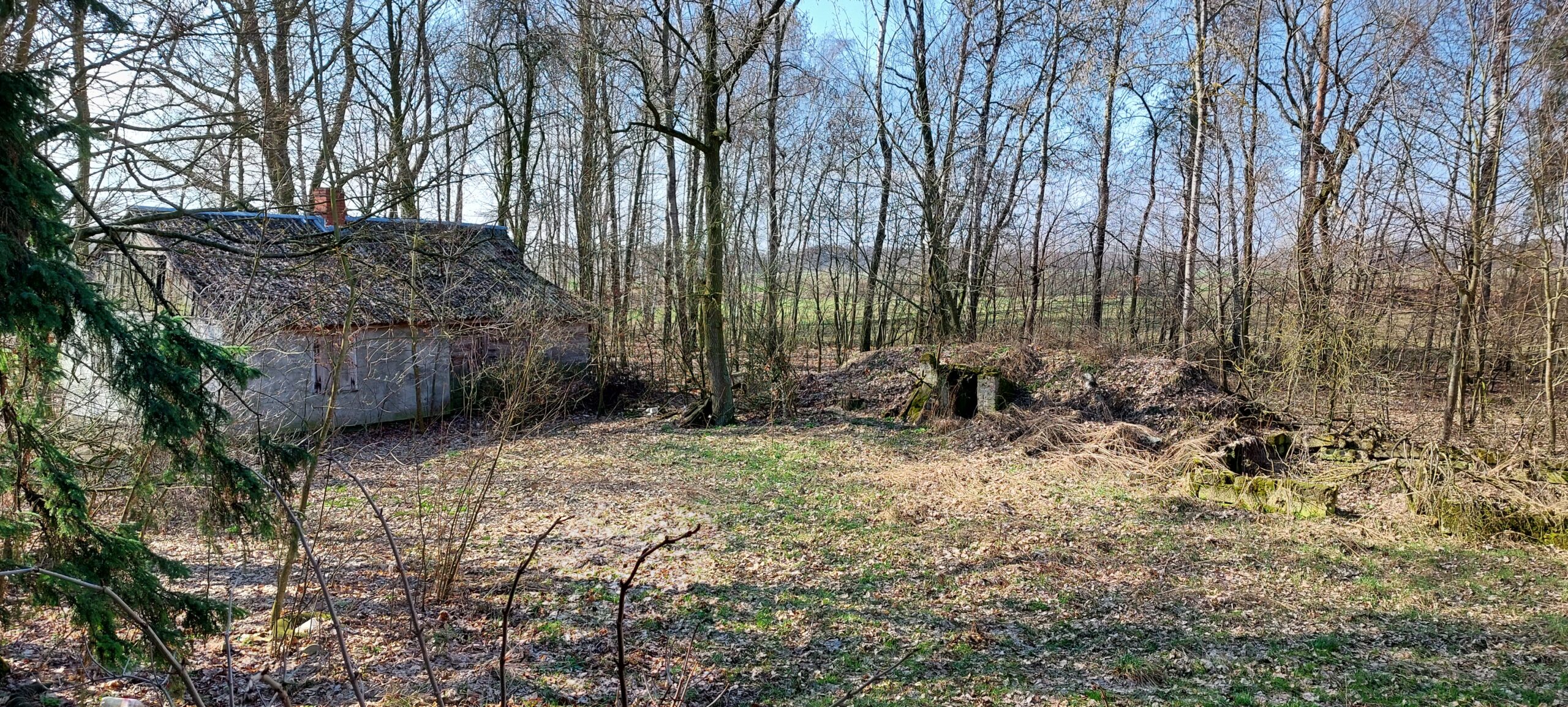 Dom człowieka Świni, Podsusze, mazowieckie — zdjęcie 1
