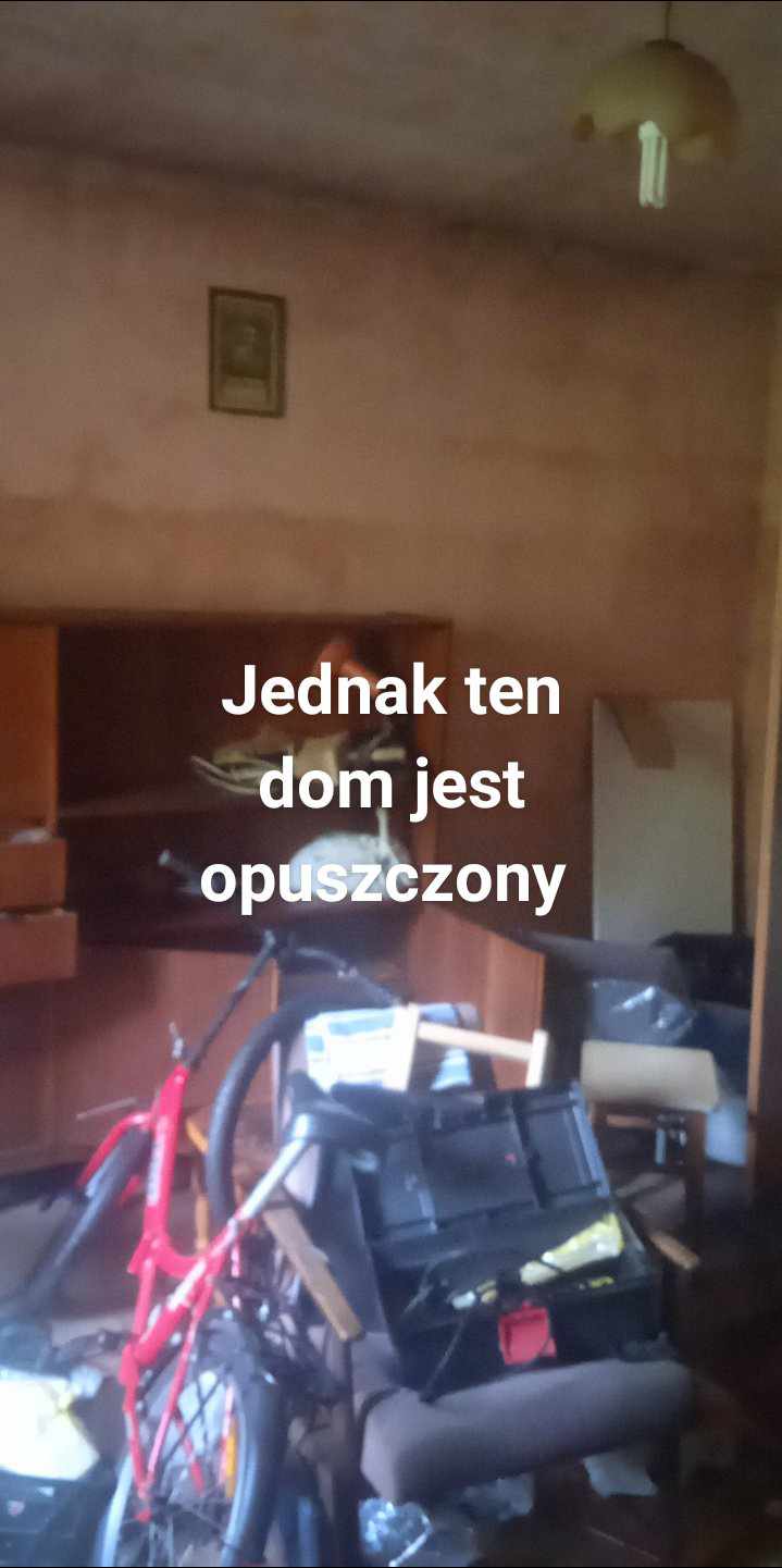 Spalona willa Danuta, Wołomin, województwo mazowieckie - zdjęcie z relacji 12