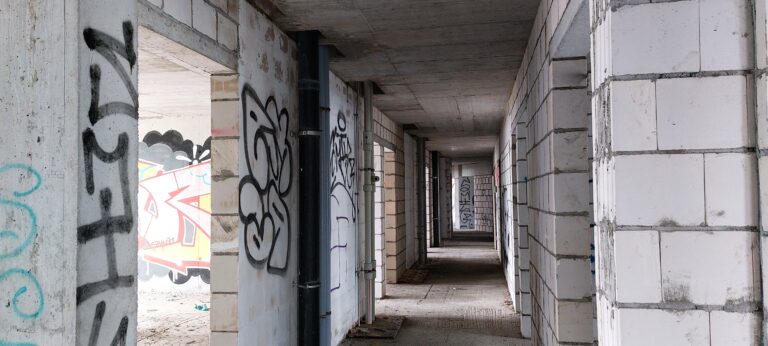 Czyżyński szkieletor, Kraków, województwo małopolskie - zdjęcie 2