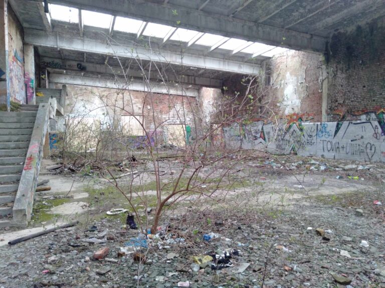 Zakład Przetwórstwa Owocowo – Warzywnego Owintar, Tarnów, województwo małopolskie - relacja z 03.2024, zdjęcie 4