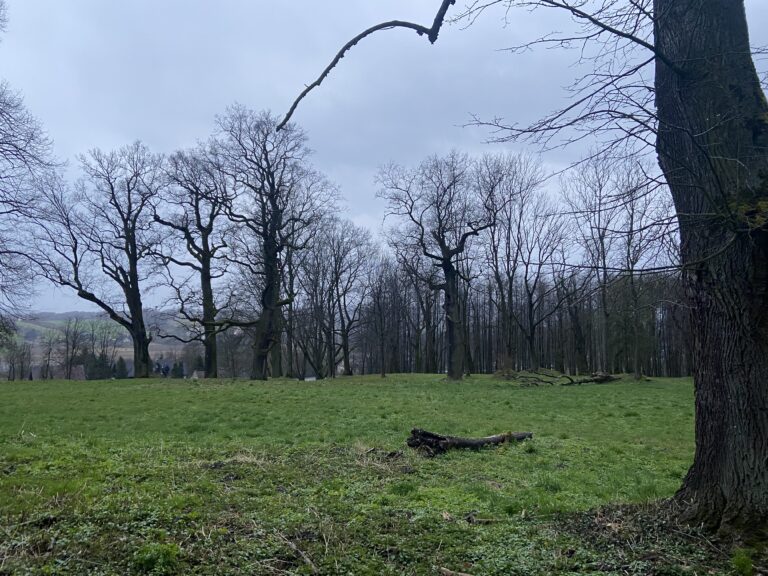 Opuszczony spichlerz na wzniesieniu z połowy XIXw., Pisary, województwo małopolskie - relacja z 03.2024, zdjęcie 21