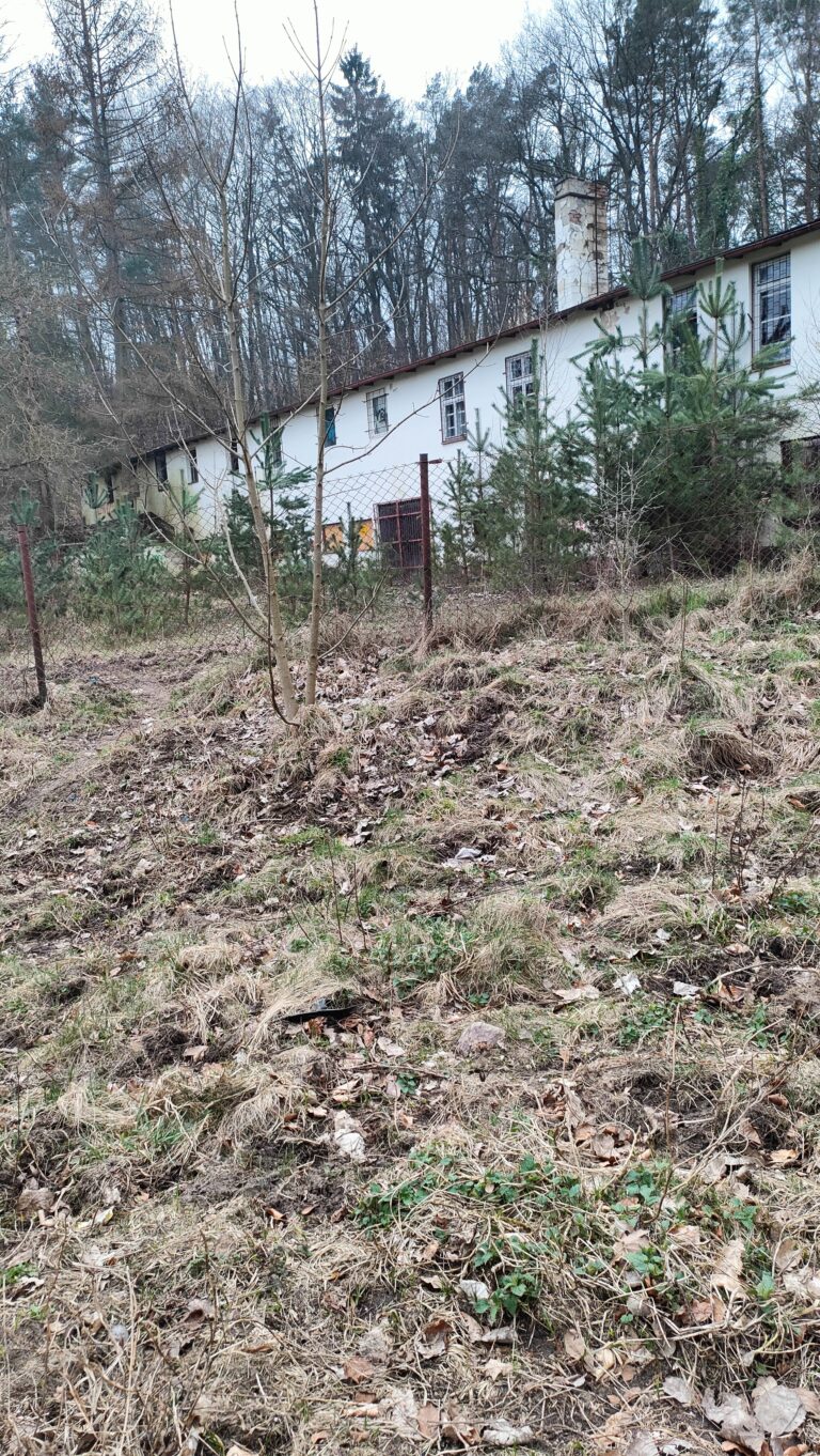 Kilka opuszczonych budynków, Gdańsk, województwo pomorskie - zdjęcie 2