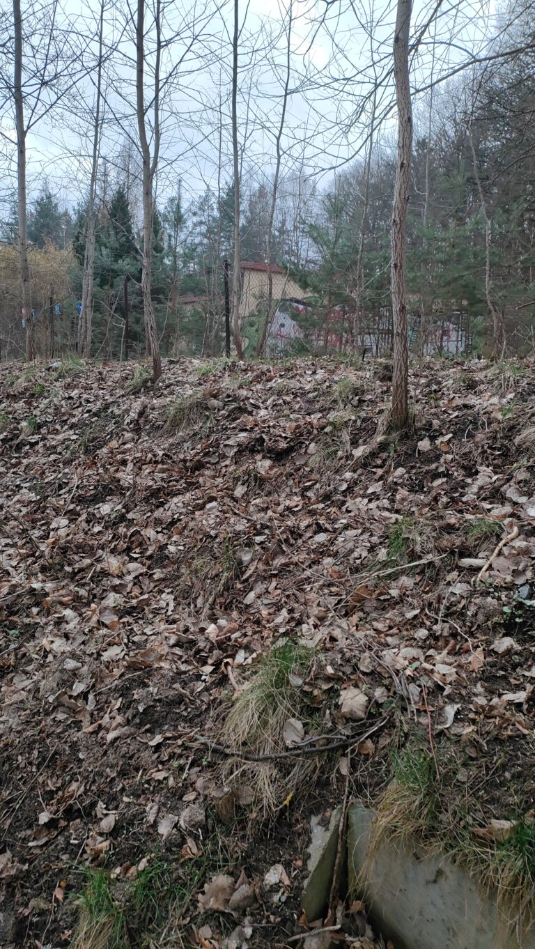 Kilka opuszczonych budynków, Gdańsk, województwo pomorskie - zdjęcie 3