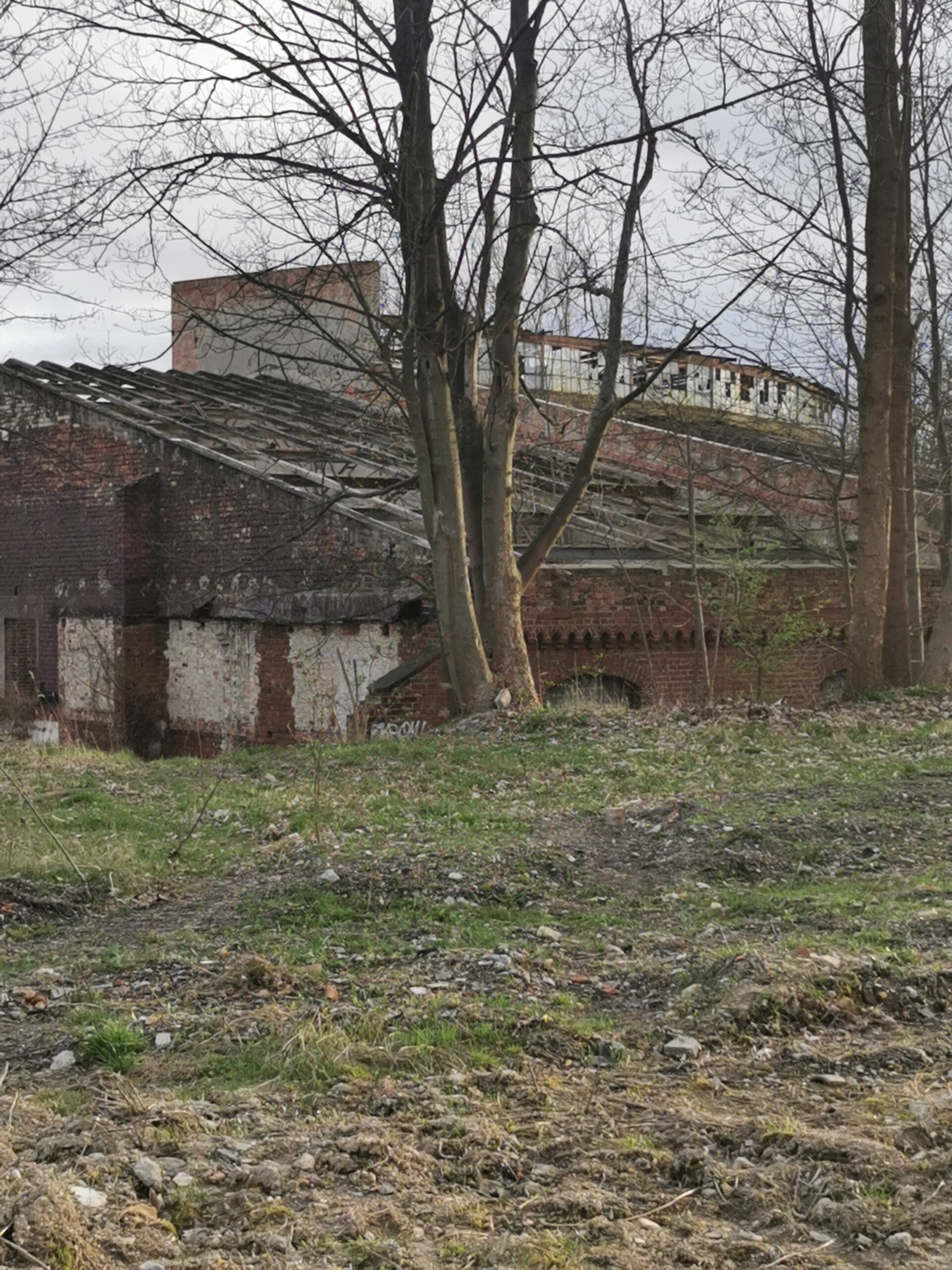 Wagonownia, Żary, województwo lubuskie