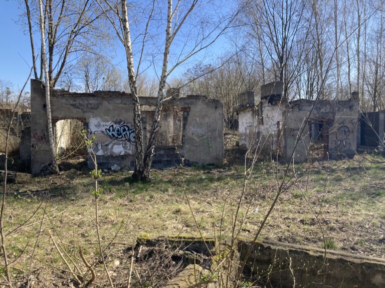Ruiny, Łódź, województwo łódzkie - zdjęcie 2