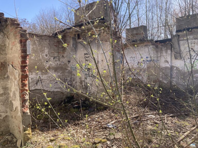 Ruiny, Łódź, województwo łódzkie - zdjęcie 3