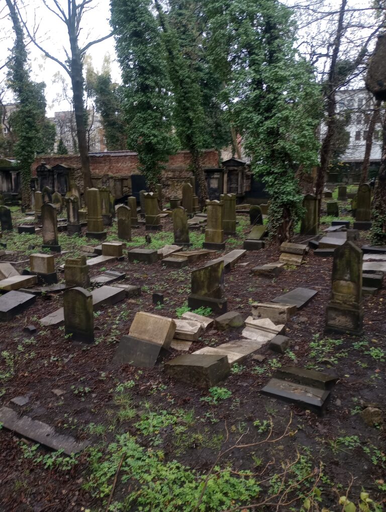 Stary Cmentarz Żydowski, Katowice, województwo śląskie - zdjęcie z relacji 32