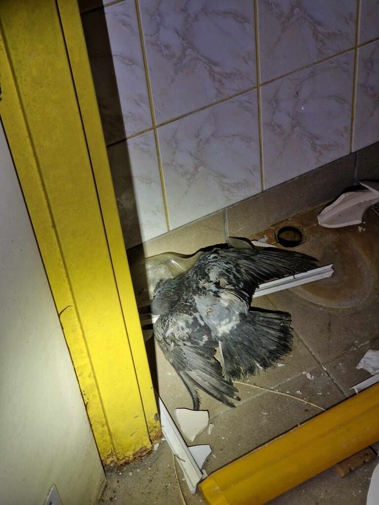 Wyższa szkoła biznesu, Radom, województwo mazowieckie - relacja z 04.2024, zdjęcie 12