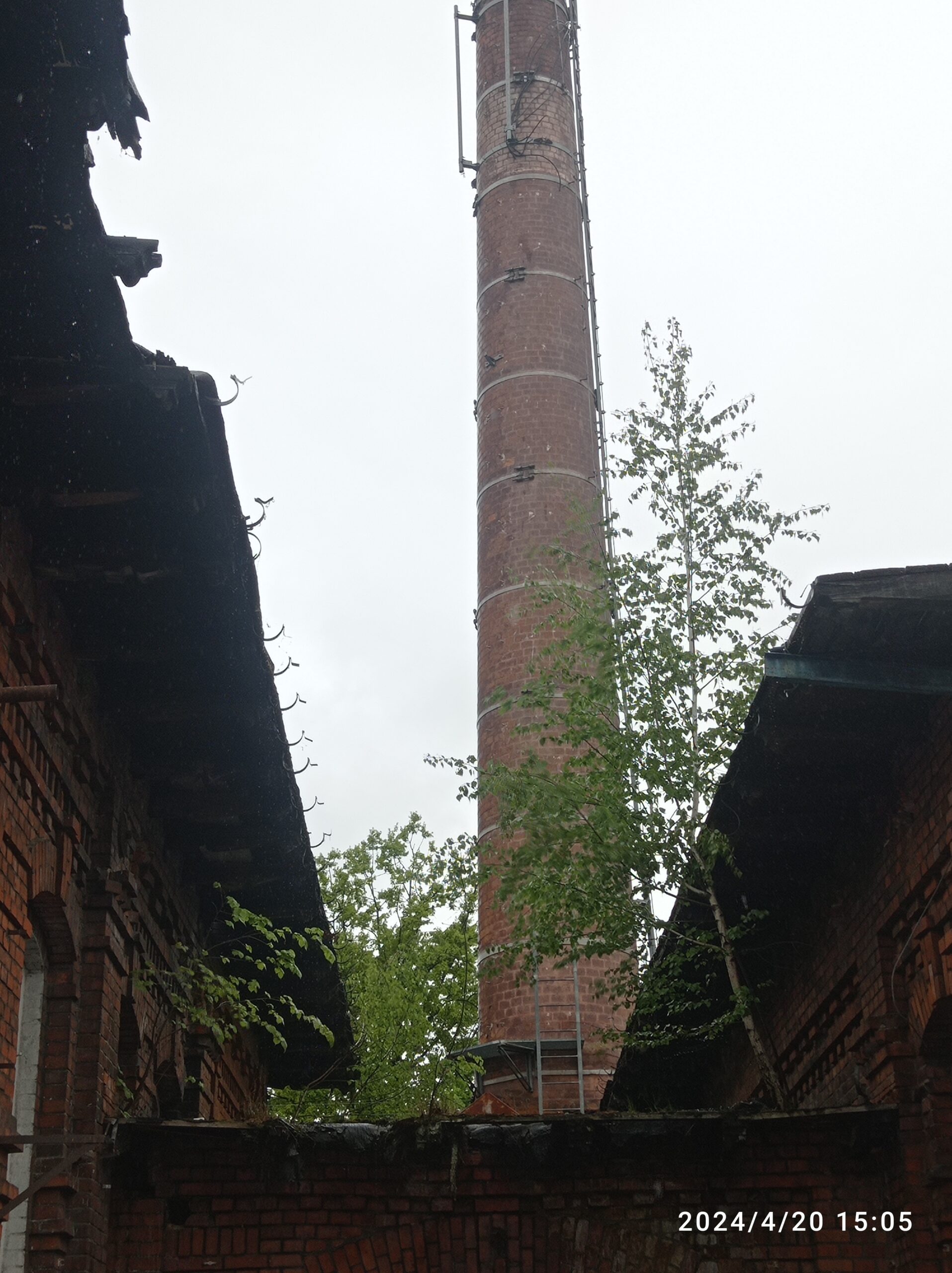Rzeźnia, Nysa, opolskie — zdjęcie 2