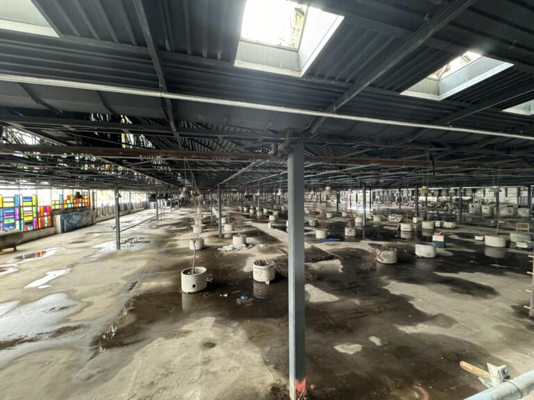 Biurowiec + hala produkcyjna  FSO Warszawa, Warszawa, województwo mazowieckie - relacja z 04.2024, zdjęcie 15