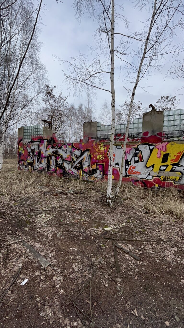 Dwa niewielkie budynki, ruiny i mały komin z drabiną, Gdańsk, województwo pomorskie - relacja z 03.2024, zdjęcie 9