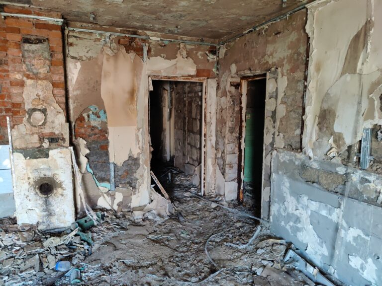 Gospodarstwo z halami, Mała Nieszawka, województwo kujawsko-pomorskie - zdjęcie 3
