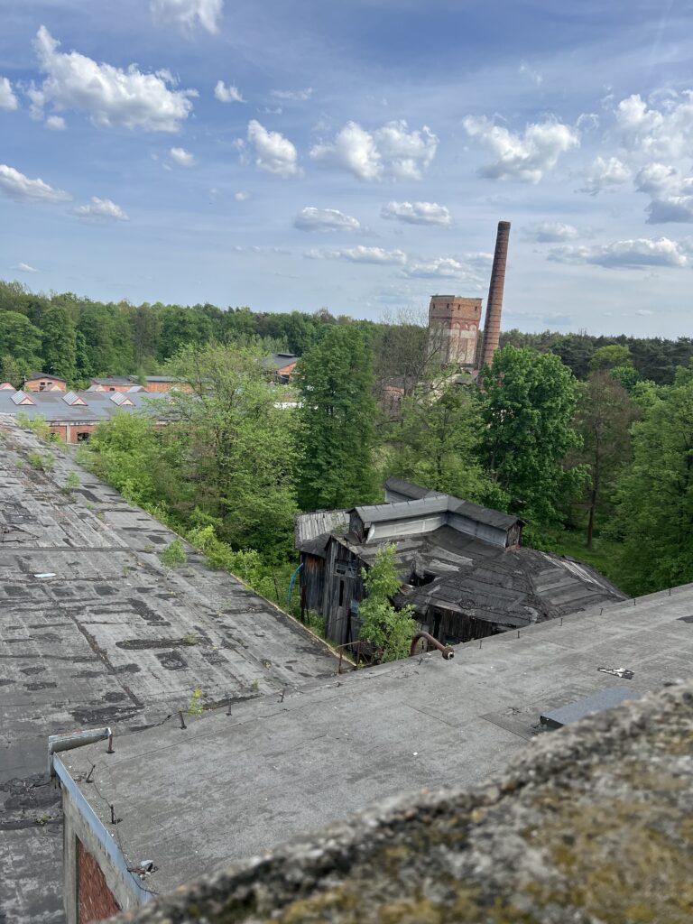 Opuszczona fabryka papieru, Boruszowice, województwo śląskie - relacja z 05.2024, zdjęcie 6