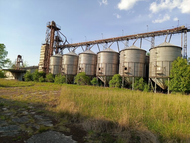 Stara paszarnia, Krośniewice, województwo łódzkie - relacja z 05.2024, zdjęcie 16